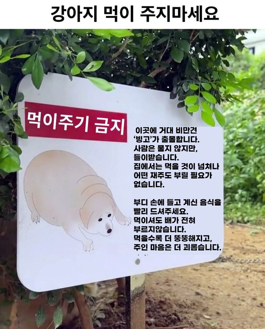 강아지 먹이 주지 마세요.jpg_2.jpg