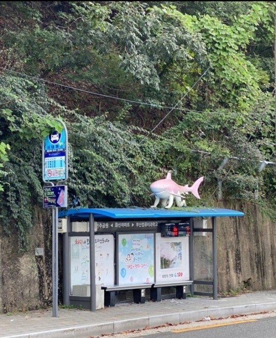 한국 멸망 위기_1.jpg