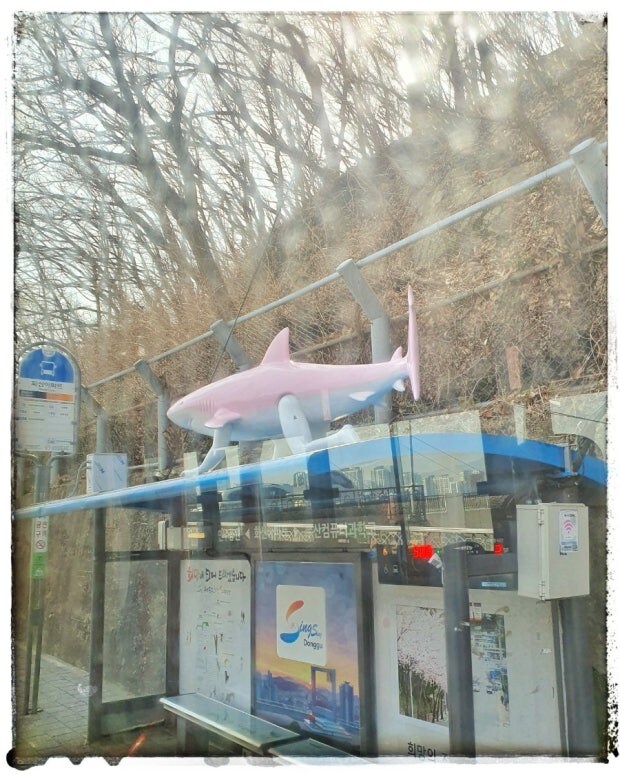 한국 멸망 위기_2.jpg