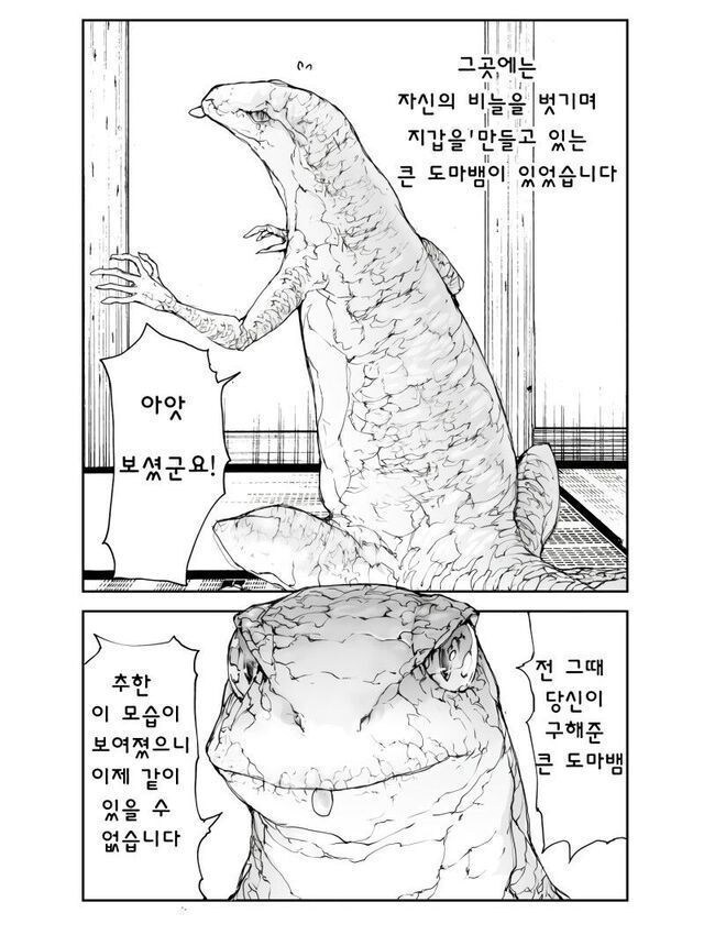 은혜갚은 도마뱀_3.jpg