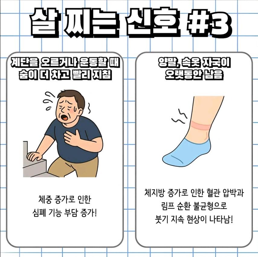 의외로 모르는 살찌는 신호.jpg_4.jpg