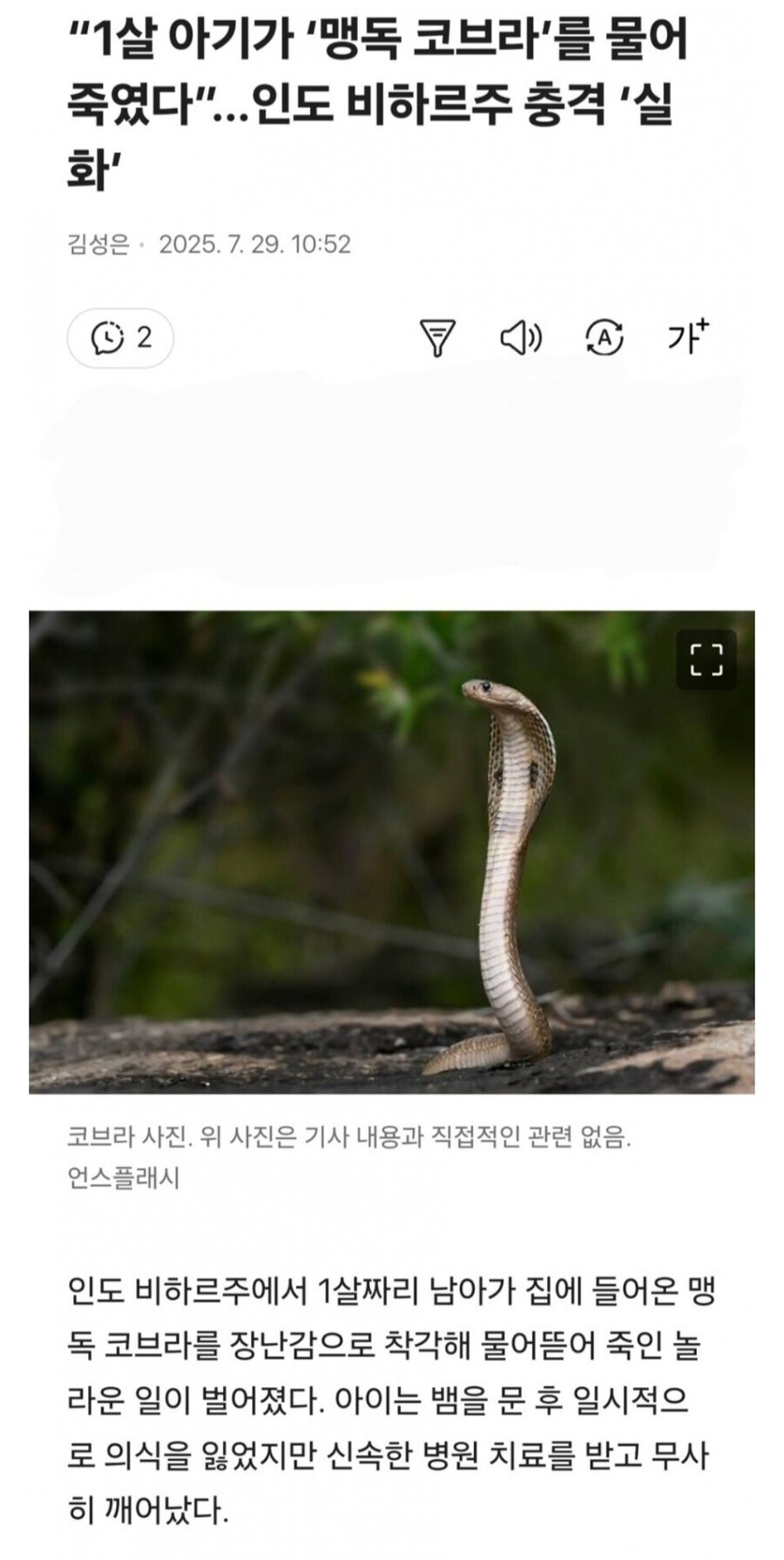 1살아기가 코브라 물어죽여.gisa_1.jpg