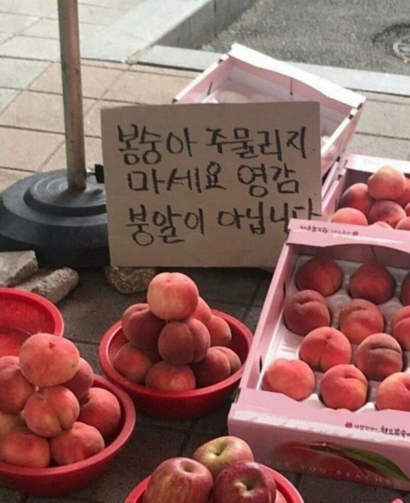 과일가게에서 민감하게 반응하는것 .jpg_1.jpg