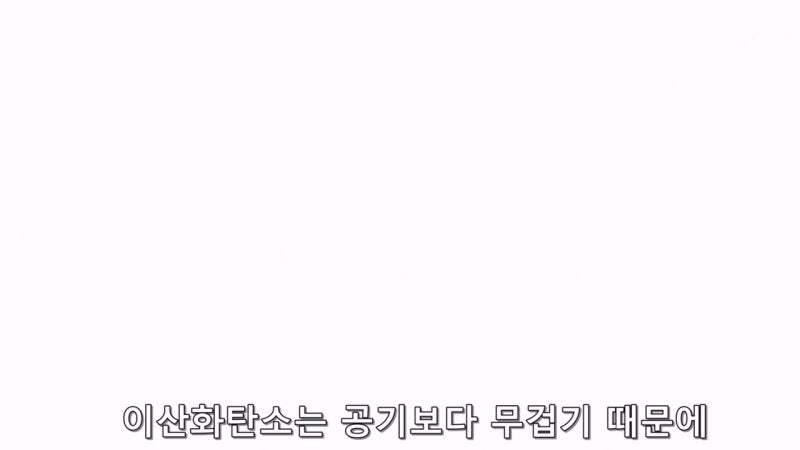 드라이아이스 10kg으로 할 수 있는 일이 뭐냐면_19.jpg