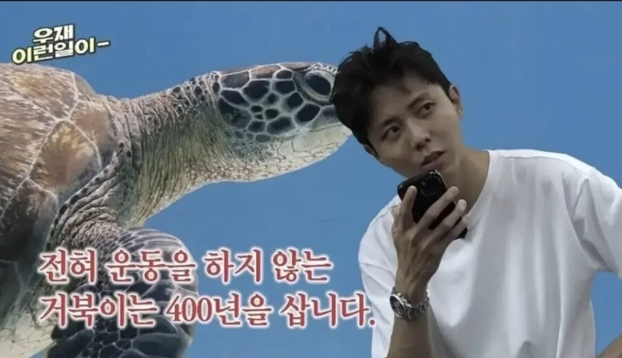 주우재가 운동 안하는 이유_3.jpg