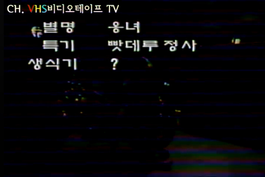 한국판 터보레이터_7.jpg