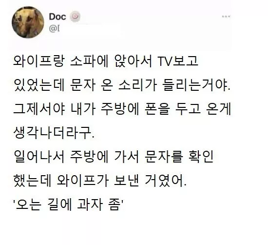 제갈량 와이프_1.webp