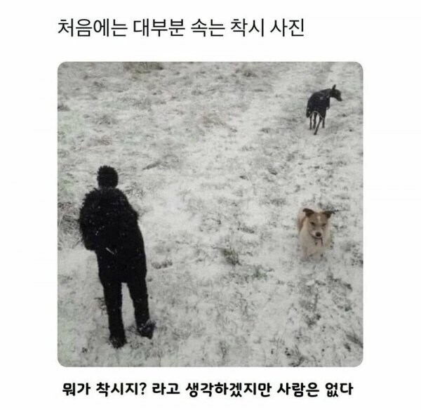높은 곳에서 내려다본 주인과 강아지들.jpg_1.jpg
