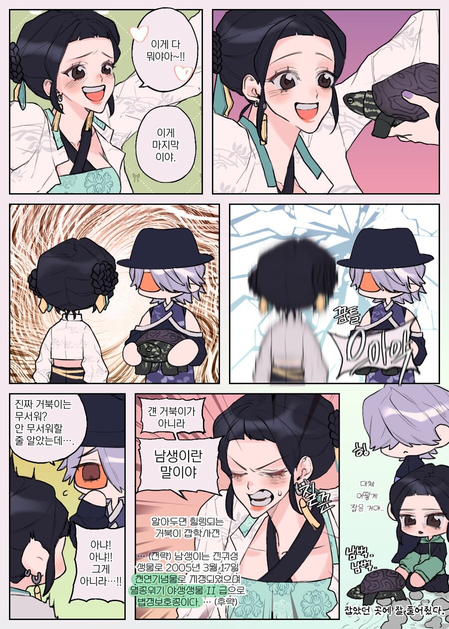 케이팝) 거북이 덕후 조이_4.jpg