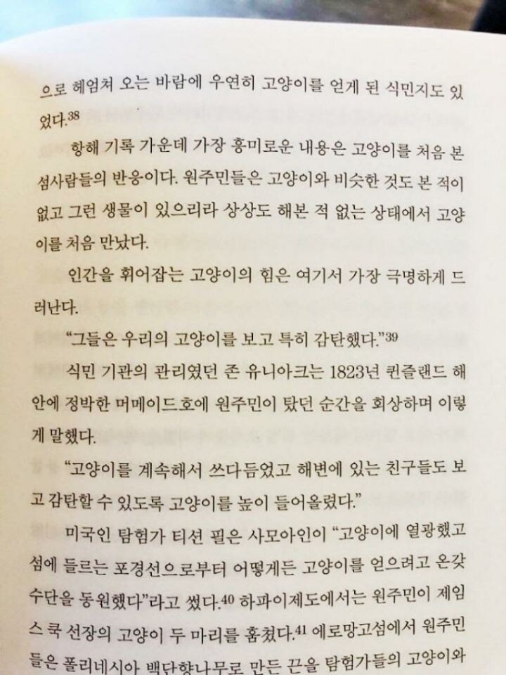고양이를 처음 본 원주민들의 반응.jpg_1.jpg