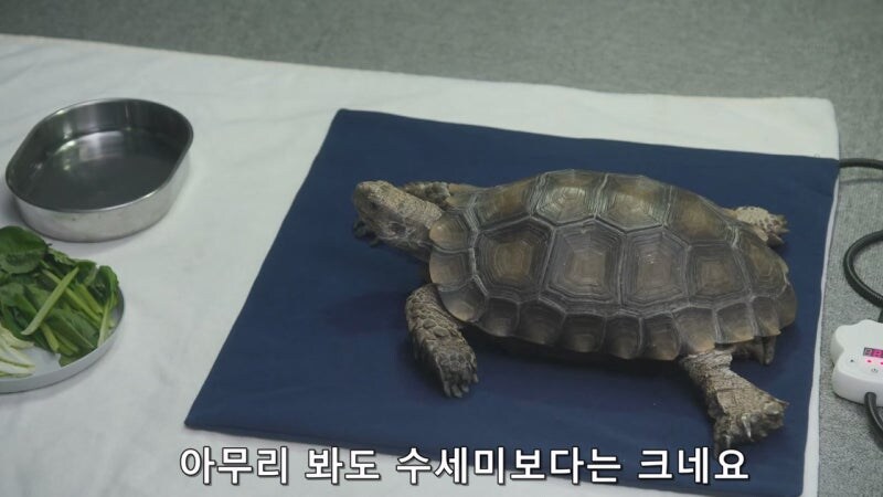 노숙자 사냥했다는 사실을 자랑스럽게 자수하러 온 미치광이_35.jpg