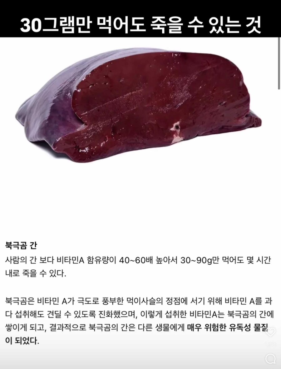 인간이 야생에서 30그램만 먹어도 죽을 수 있는 것_1.png