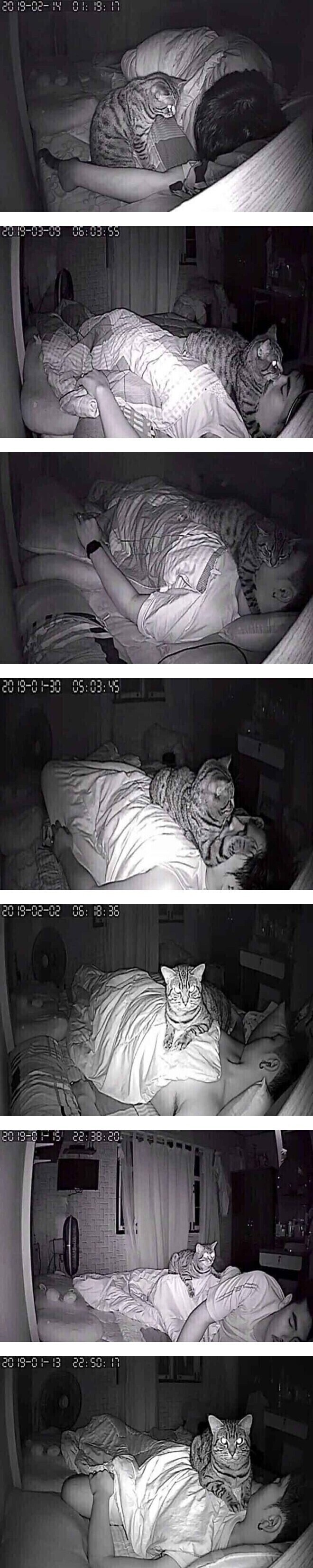 수면 무호흡증 때문에 CCTV를 설치 했는데_1.jpg