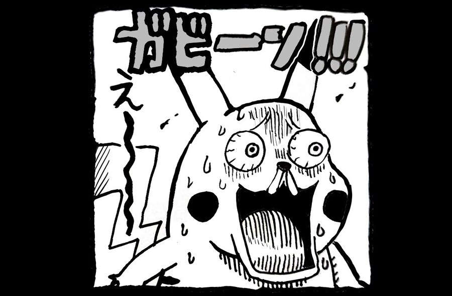 피카츄와 루피_2.jpg