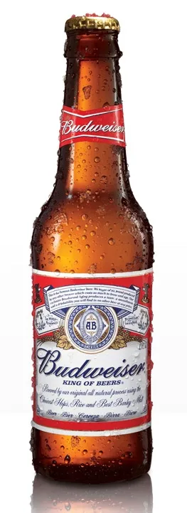 맥주 매니아라면 입에 대지 말아야 할 부가물 라거 소신발언_1.webp