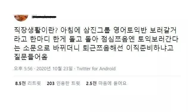 직장생활 한짤 요약_1.jpg