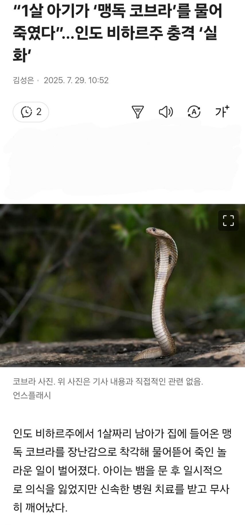 맹독 코브라 1살 아기에게 물려죽었다_1.jpg