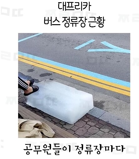 대구 사람들아 너네 진짜 이래?_1.png