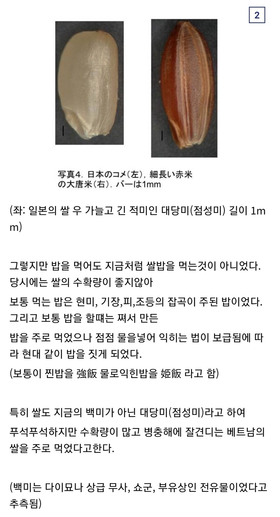 일본 전국시대 사무라이의 식사_2.jpg