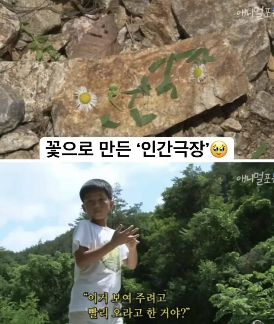 정말 순수한 시골 아이 ㅋㅋ_4.jpg