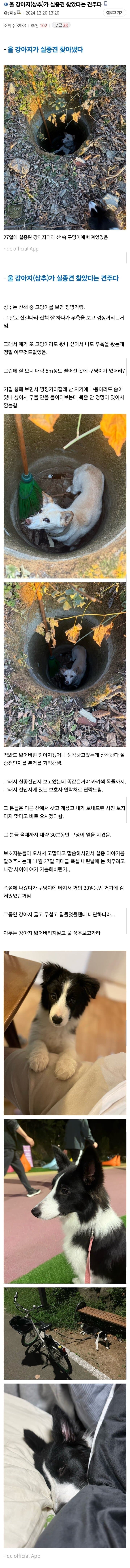 강아지가 실종견 찾음._1.jpg
