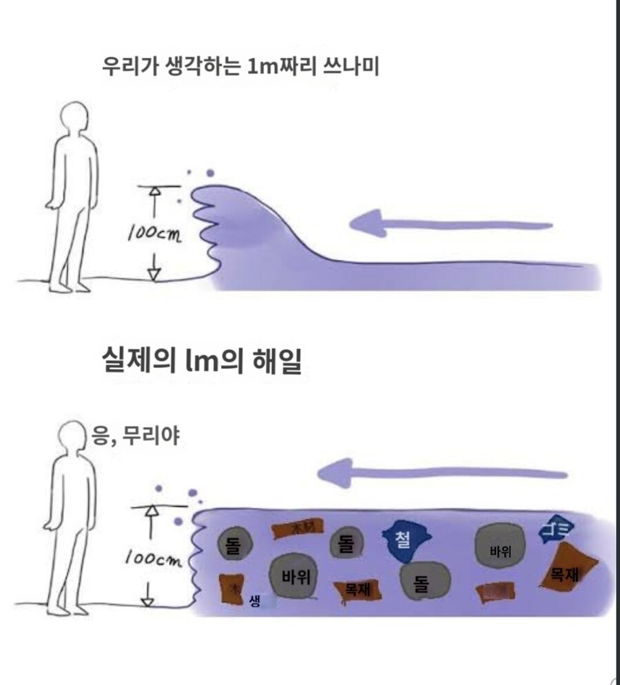 꼴랑 1미터짜리 쓰나미도 매우 위험한 이유_2.jpg