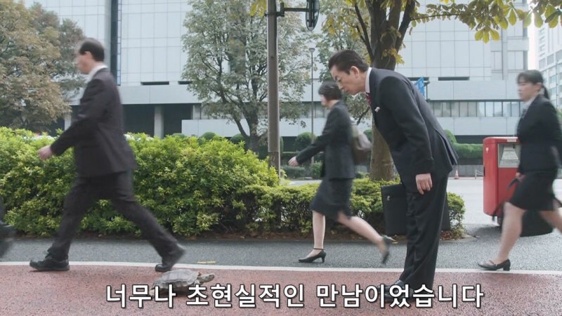 길 가다가 거북이를 만나면 생기는 사건_7.jpg