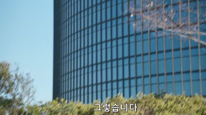 길 가다가 거북이를 만나면 생기는 사건_11.jpg