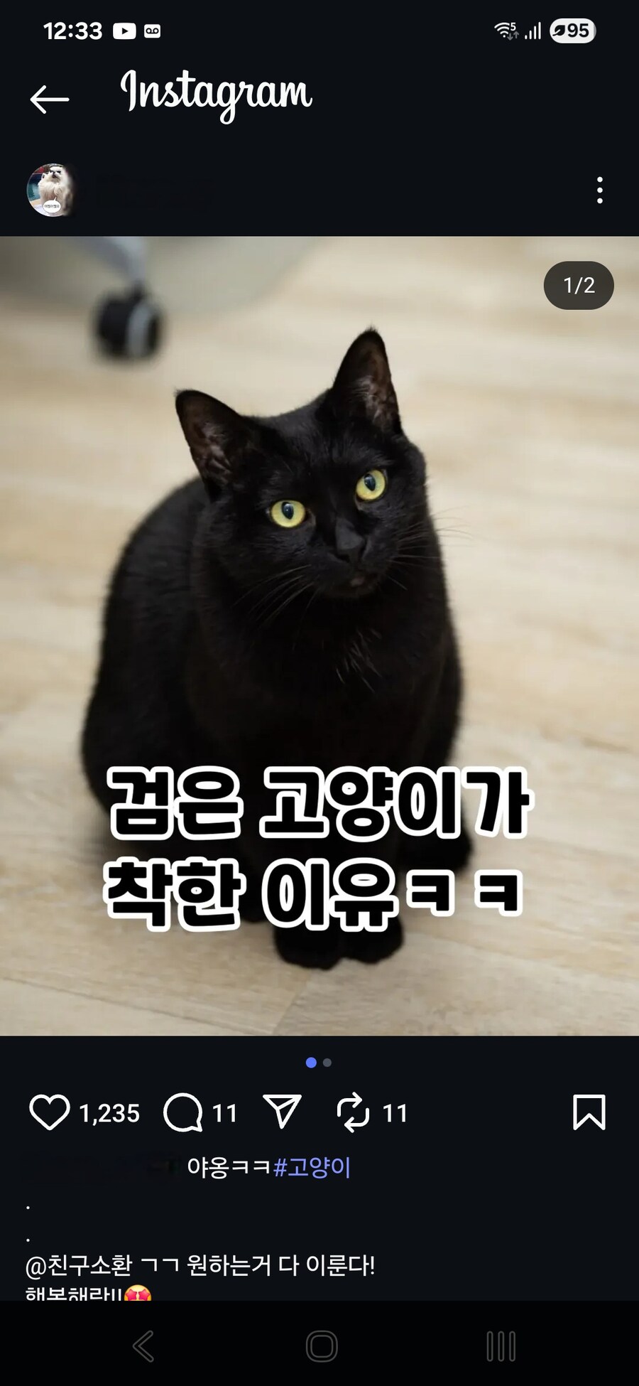 이젠 별거 다 불펌해서 막 쓰네.._1.jpg