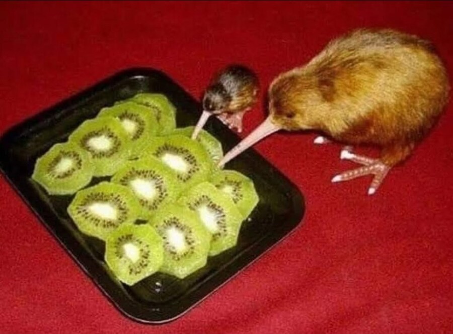 크큭 많이 먹어라_1.jpg