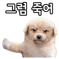 누군가가 미워진다면 발씻고 자면 괜찮아짐.JPG_2.png