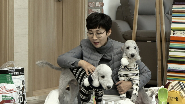 개그맨 부부가 방송사고에 대처하는 방법_1.jpg