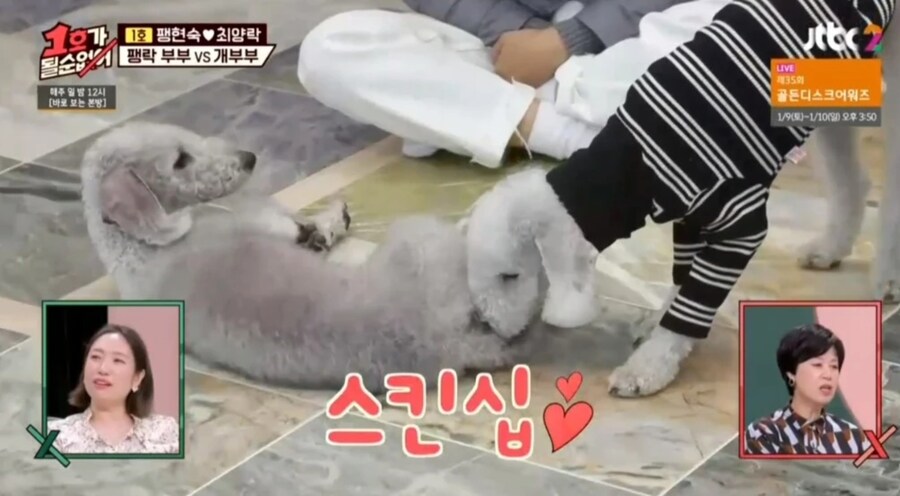 개그맨 부부가 방송사고에 대처하는 방법_2.jpg