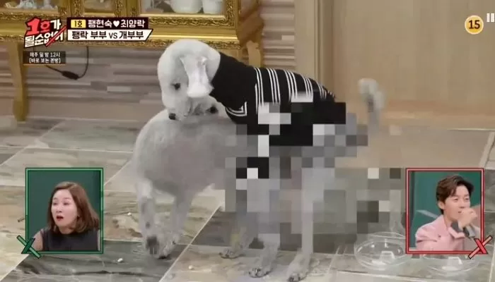 개그맨 부부가 방송사고에 대처하는 방법_3.webp