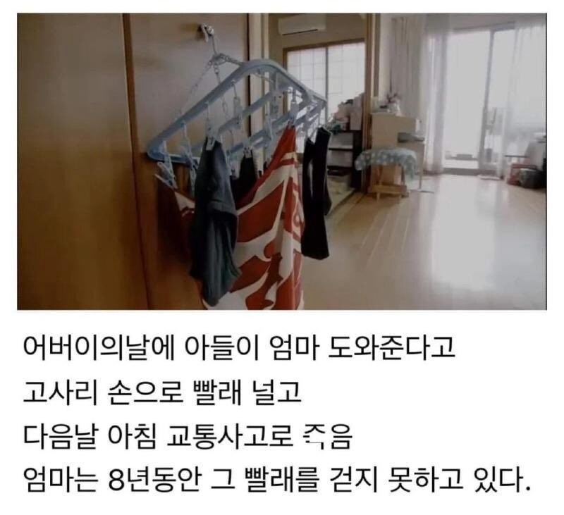 8년 동안 개지않은 빨래.jpg_1.jpg