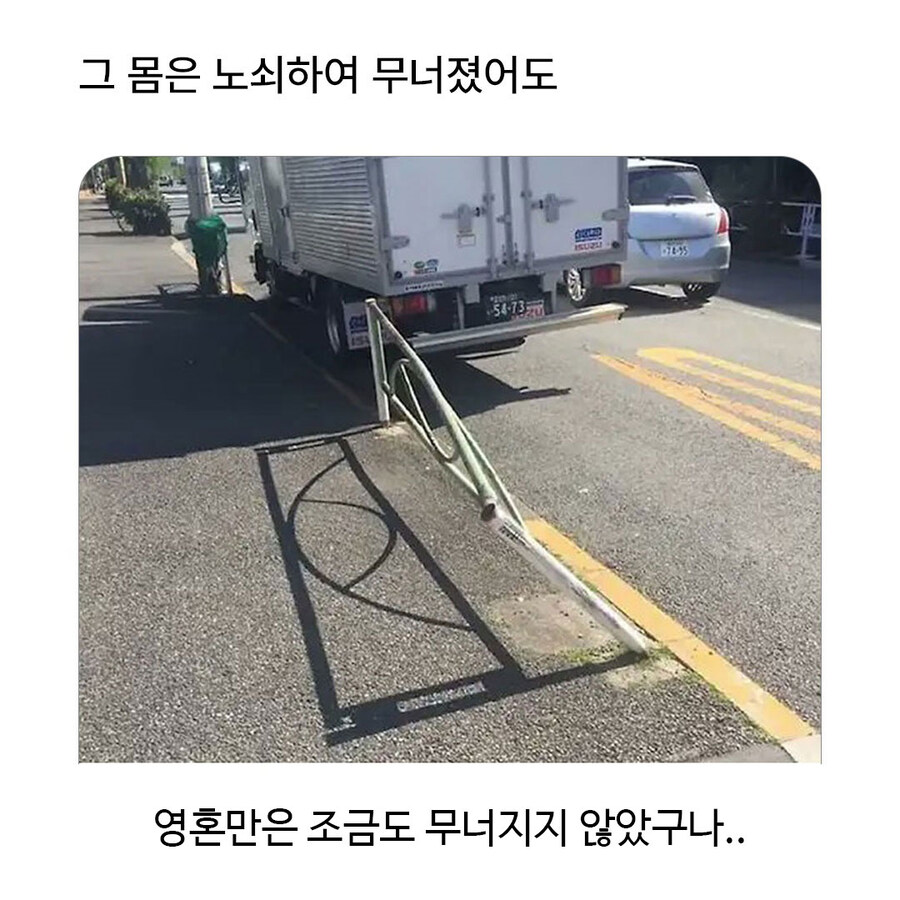 흔한 아니메 클리셰_1.jpg