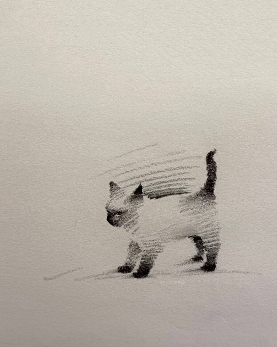 고양이 스케치_6.jpg