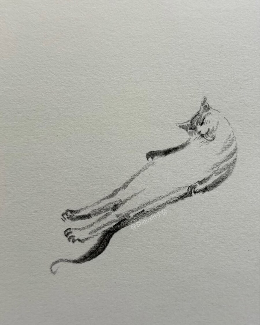 고양이 스케치_10.jpg