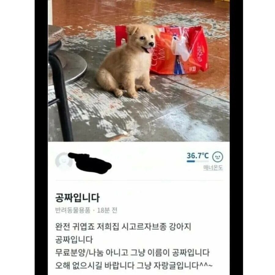 공짜 입니다.jpg_1.jpg