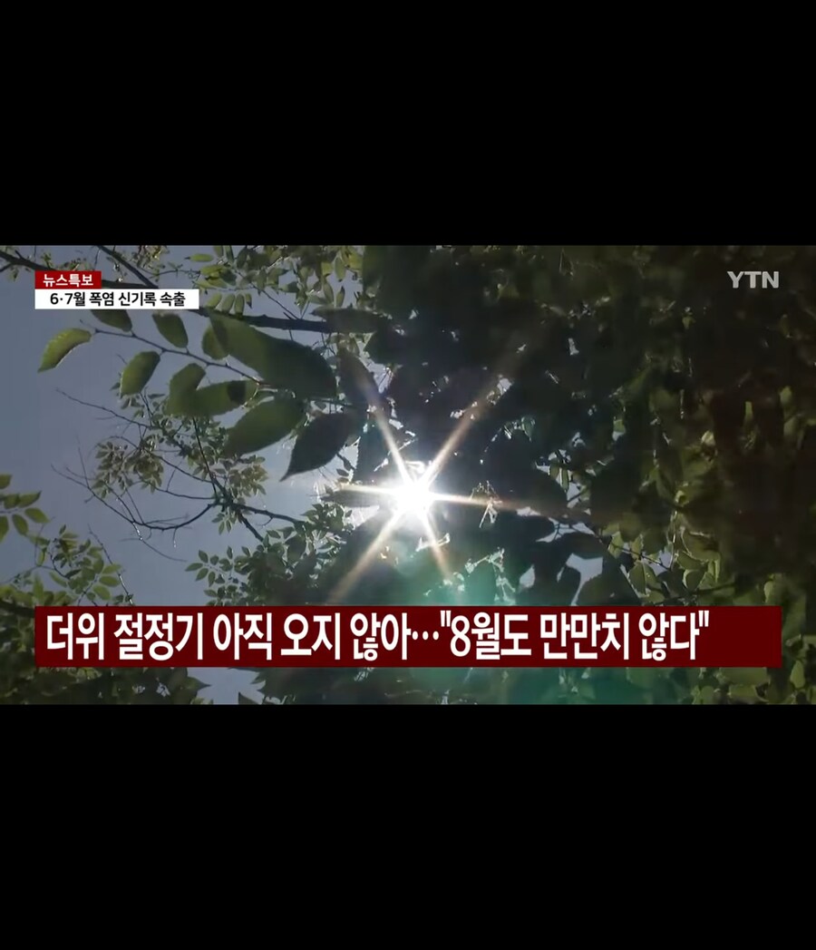 더위 절정기 아직 오지 않았다_5.jpg