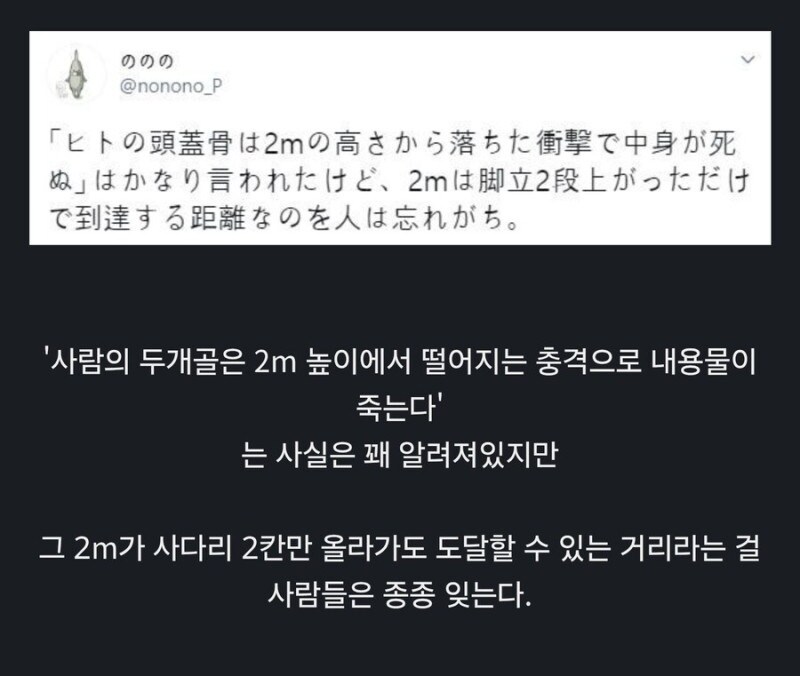 사람의 두개골은 2m 높이에서 떨어지는 충격으로 내용물이 죽는다_1.png