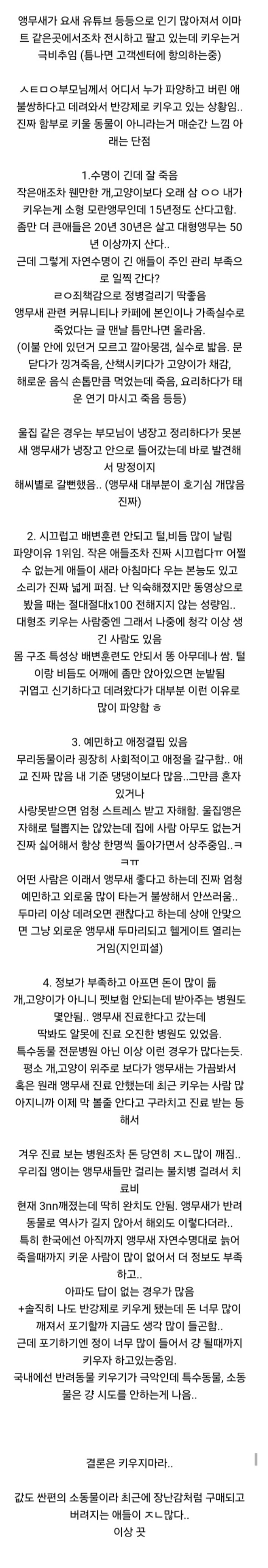 애완동물로 앵무새를 키우지 말아야하는 이유.jpg_1.png