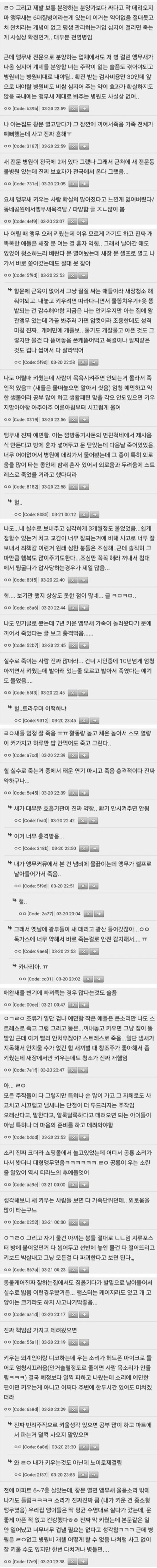 애완동물로 앵무새를 키우지 말아야하는 이유.jpg_2.png