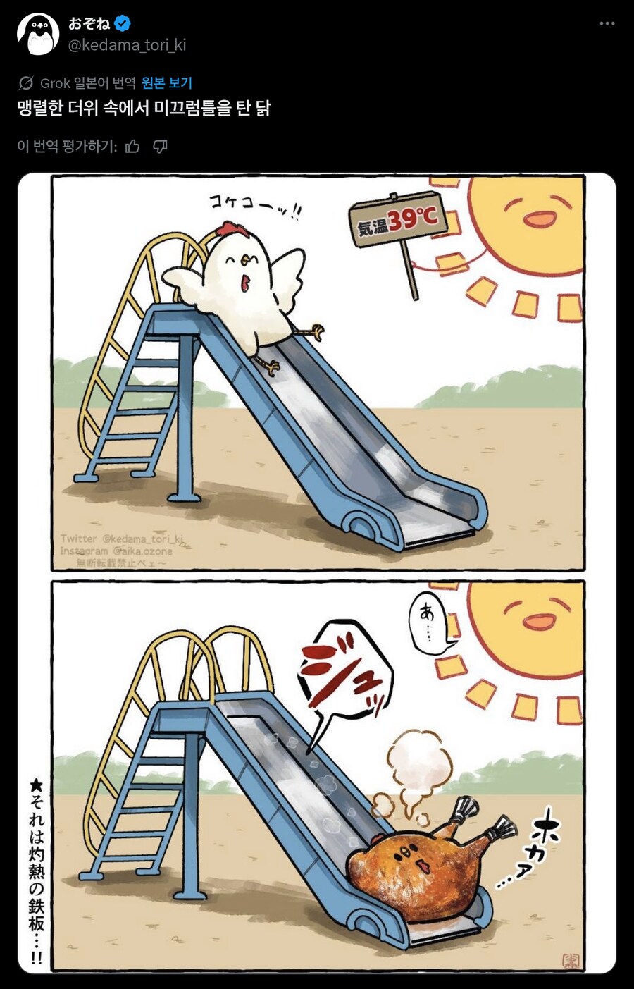 한여름에 미끄럼틀을 탄 닭_1.png
