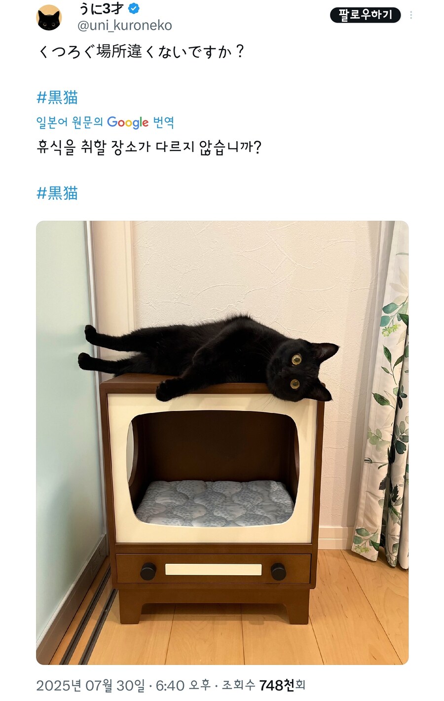 고양이는 고양이.jpg_1.jpg