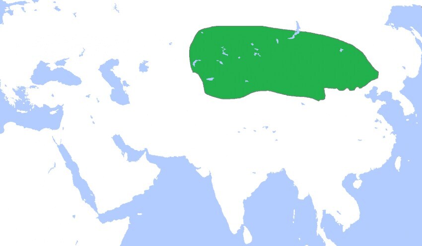 훈족의 정체_3.jpg