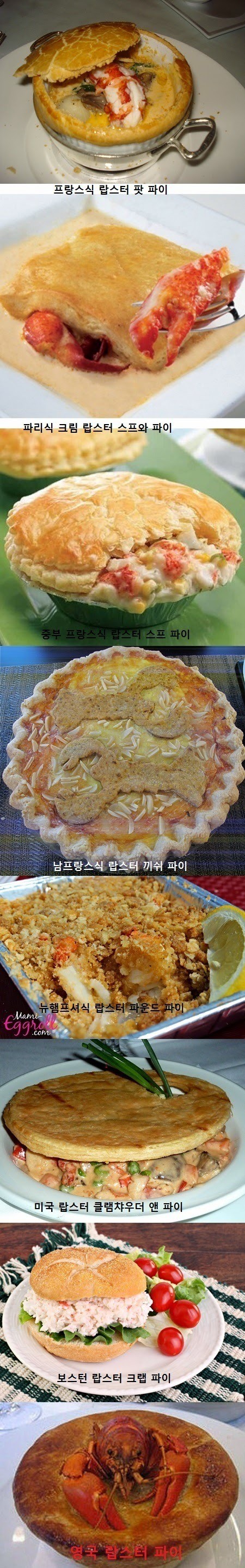 지역별 랍스터 파이.jpg_1.jpg