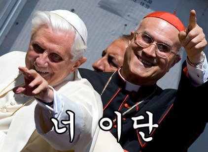 외모 때문에 밈이 되었던 교황.jpg_10.jpg