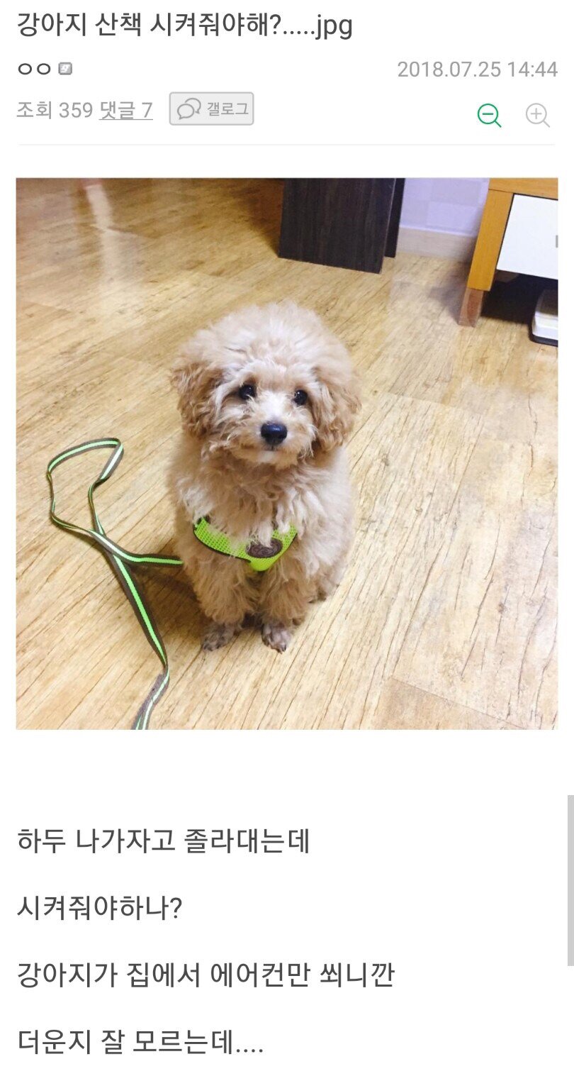 2018년 헬더위를 느꼈던 동물들.jpg_1.jpg