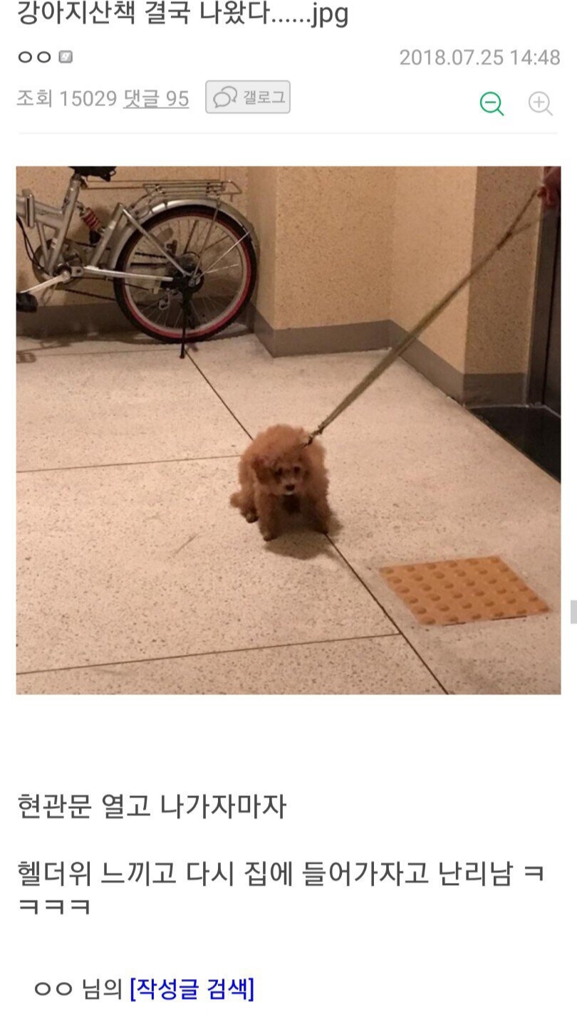 2018년 헬더위를 느꼈던 동물들.jpg_2.jpg